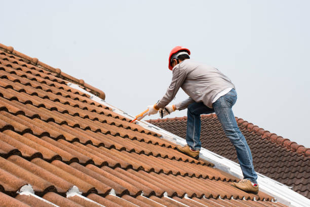 Best Roof Leak Repair  in Sierra Ridge, CO